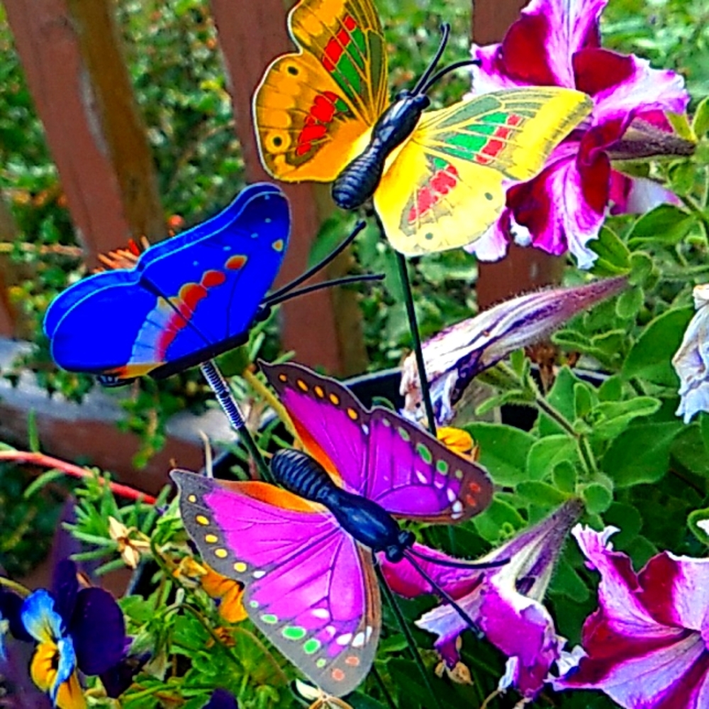 Butterfly Yard/Plant Sticks Set of 3